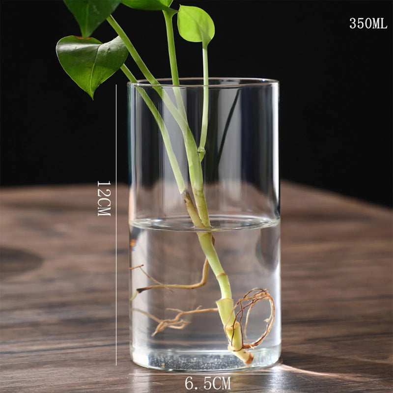 Hydroponics Plants Desktop Glass Planter Vase Glass Vase Transparent Cylinder Flower Vase Bedroom Desktop Home Decoration