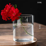 Hydroponics Plants Desktop Glass Planter Vase Glass Vase Transparent Cylinder Flower Vase Bedroom Desktop Home Decoration