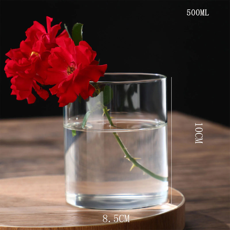 Hydroponics Plants Desktop Glass Planter Vase Glass Vase Transparent Cylinder Flower Vase Bedroom Desktop Home Decoration
