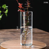 Hydroponics Plants Desktop Glass Planter Vase Glass Vase Transparent Cylinder Flower Vase Bedroom Desktop Home Decoration