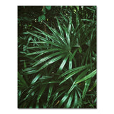 Nature Tropical Palm Leaf Monstera Wall Art Canvas Painting Nordic Posters And Prints Wall Pictures For Living Room Home Decor