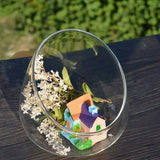 3 Pcs Succulent Ecological Bottle Display Bowl Jar Ecosystem Decorate Glass Decorative Desktop Planter Container Office