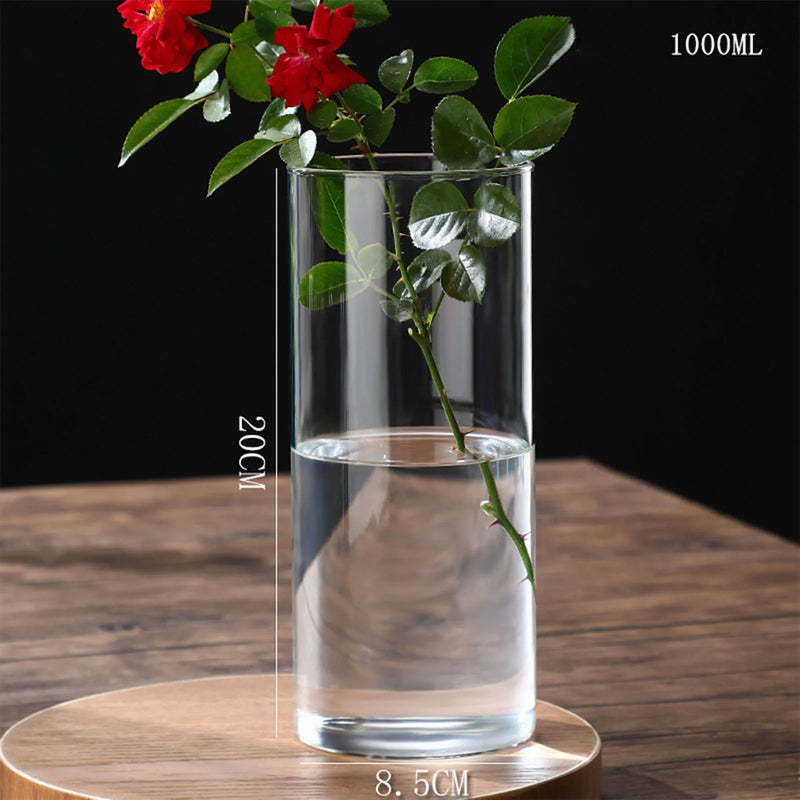 Hydroponics Plants Desktop Glass Planter Vase Glass Vase Transparent Cylinder Flower Vase Bedroom Desktop Home Decoration