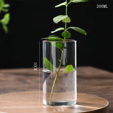 Hydroponics Plants Desktop Glass Planter Vase Glass Vase Transparent Cylinder Flower Vase Bedroom Desktop Home Decoration