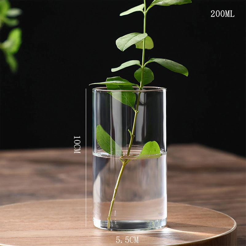 Hydroponics Plants Desktop Glass Planter Vase Glass Vase Transparent Cylinder Flower Vase Bedroom Desktop Home Decoration