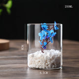 Hydroponics Plants Desktop Glass Planter Vase Glass Vase Transparent Cylinder Flower Vase Bedroom Desktop Home Decoration