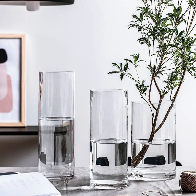 Hydroponics Plants Desktop Glass Planter Vase Glass Vase Transparent Cylinder Flower Vase Bedroom Desktop Home Decoration