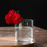 Hydroponics Plants Desktop Glass Planter Vase Glass Vase Transparent Cylinder Flower Vase Bedroom Desktop Home Decoration