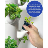 Hydroponic Growing System with Grow Lights (No Seedlings Included) |25-Plant Hydroponic System, Home Gardening System for Indoor