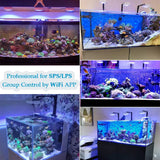 PopBloom-RL90 WiFi Aquarium LED Lighting 100W, Coral Reef Grow Aquarium Light for Saltwater SPS/LPS Marine Fish Tank LED Light