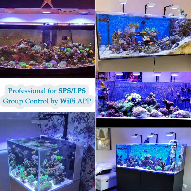 PopBloom-RL90 WiFi Aquarium LED Lighting 100W, Coral Reef Grow Aquarium Light for Saltwater SPS/LPS Marine Fish Tank LED Light