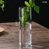 Hydroponics Plants Desktop Glass Planter Vase Glass Vase Transparent Cylinder Flower Vase Bedroom Desktop Home Decoration