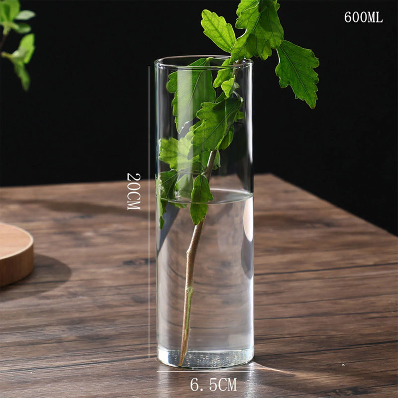 Hydroponics Plants Desktop Glass Planter Vase Glass Vase Transparent Cylinder Flower Vase Bedroom Desktop Home Decoration