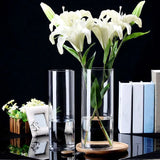 Hydroponics Plants Desktop Glass Planter Vase Glass Vase Transparent Cylinder Flower Vase Bedroom Desktop Home Decoration