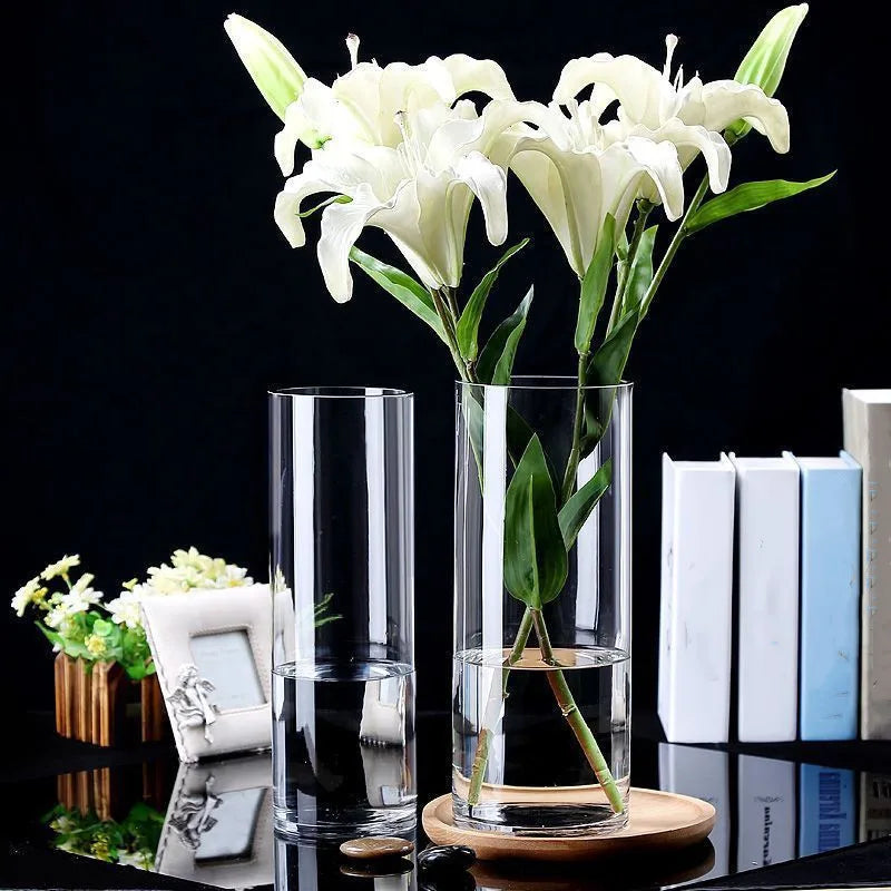 Hydroponics Plants Desktop Glass Planter Vase Glass Vase Transparent Cylinder Flower Vase Bedroom Desktop Home Decoration