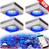 PopBloom-RL90 WiFi Aquarium LED Lighting 100W, Coral Reef Grow Aquarium Light for Saltwater SPS/LPS Marine Fish Tank LED Light