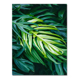 Nature Tropical Palm Leaf Monstera Wall Art Canvas Painting Nordic Posters And Prints Wall Pictures For Living Room Home Decor