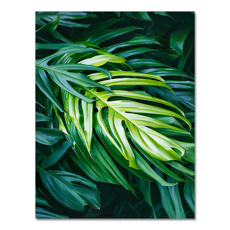 Nature Tropical Palm Leaf Monstera Wall Art Canvas Painting Nordic Posters And Prints Wall Pictures For Living Room Home Decor