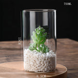 Hydroponics Plants Desktop Glass Planter Vase Glass Vase Transparent Cylinder Flower Vase Bedroom Desktop Home Decoration