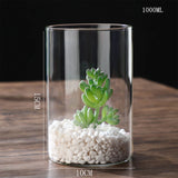 Hydroponics Plants Desktop Glass Planter Vase Glass Vase Transparent Cylinder Flower Vase Bedroom Desktop Home Decoration