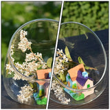 3 Pcs Succulent Ecological Bottle Display Bowl Jar Ecosystem Decorate Glass Decorative Desktop Planter Container Office