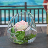 3 Pcs Succulent Ecological Bottle Display Bowl Jar Ecosystem Decorate Glass Decorative Desktop Planter Container Office
