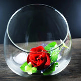 3 Pcs Succulent Ecological Bottle Display Bowl Jar Ecosystem Decorate Glass Decorative Desktop Planter Container Office