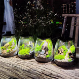 Round D10cm D12cm D15cm D20cm LED moss plant light breathable ecological bottle lamp USB aquatic grass light wanter plant lamp