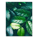 Nature Tropical Palm Leaf Monstera Wall Art Canvas Painting Nordic Posters And Prints Wall Pictures For Living Room Home Decor