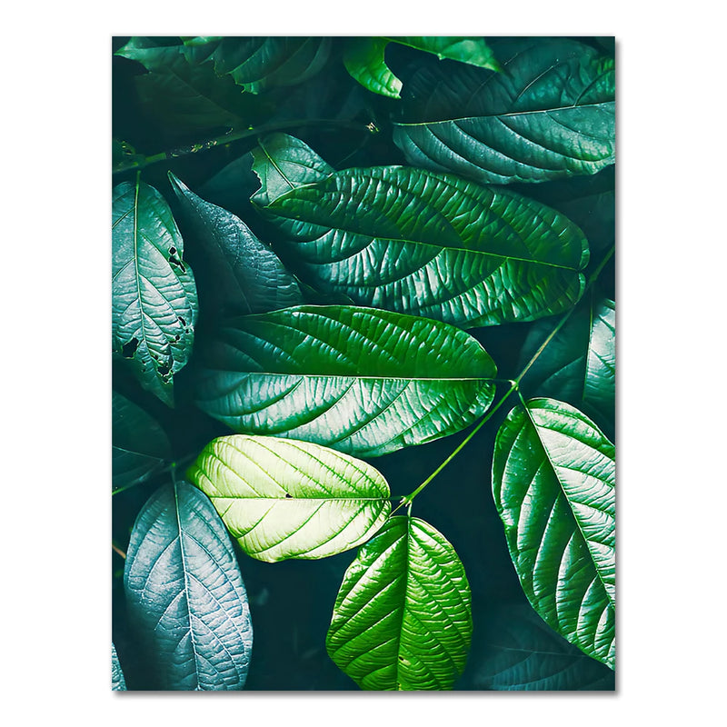 Nature Tropical Palm Leaf Monstera Wall Art Canvas Painting Nordic Posters And Prints Wall Pictures For Living Room Home Decor