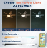 Modern ceiling fan light LED 20Inch Electric fan for room remote control for dimming for living room study household AC85-265V