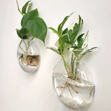 Hydroponic Glass Vase Wall Hanging Terrarium Transparent Flower Vase Fish Tank Aquarium Container Flower Pot Home Decor