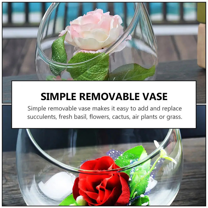 3 Pcs Succulent Ecological Bottle Display Bowl Jar Ecosystem Decorate Glass Decorative Desktop Planter Container Office