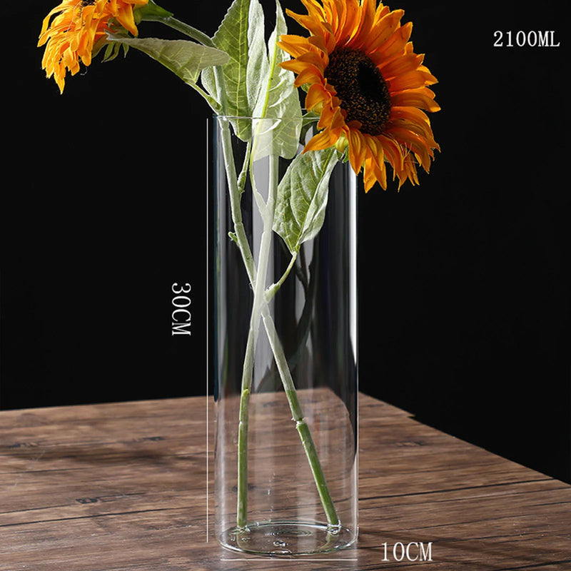 Hydroponics Plants Desktop Glass Planter Vase Glass Vase Transparent Cylinder Flower Vase Bedroom Desktop Home Decoration