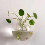 Hydroponic Glass Vase Wall Hanging Terrarium Transparent Flower Vase Fish Tank Aquarium Container Flower Pot Home Decor