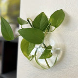 Hydroponic Glass Vase Wall Hanging Terrarium Transparent Flower Vase Fish Tank Aquarium Container Flower Pot Home Decor