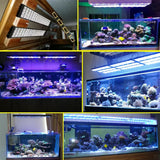 New PopBloom WiFi Reef Aquarium Led Light, Marine Aquarium Lamp Full Spectrum for 60cm 90cm 120cm SPS/LPS Coral Aquarium Tank