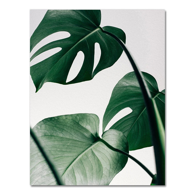 Nature Tropical Palm Leaf Monstera Wall Art Canvas Painting Nordic Posters And Prints Wall Pictures For Living Room Home Decor
