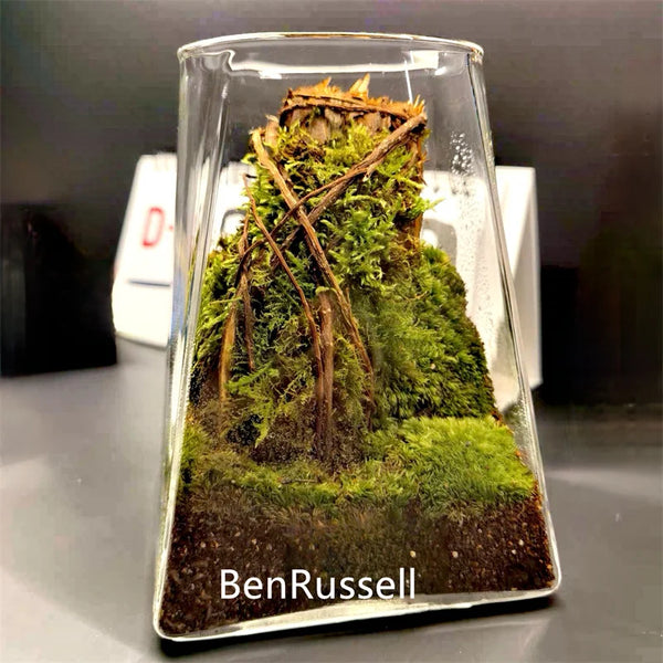 Square Bottom Circular Mouth Micro Landscape Glass Jars with Bamboo Lid Glass Vase Succulent Moss Bansai Glass Terrarium
