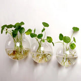 Hydroponic Glass Vase Wall Hanging Terrarium Transparent Flower Vase Fish Tank Aquarium Container Flower Pot Home Decor