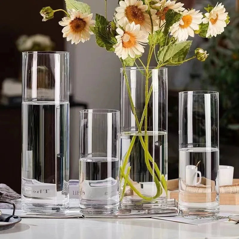Hydroponics Plants Desktop Glass Planter Vase Glass Vase Transparent Cylinder Flower Vase Bedroom Desktop Home Decoration